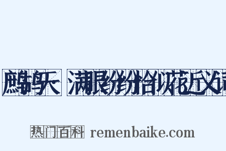 鹧鸪天·满眼纷纷恰似花近义词是什么意思的图片